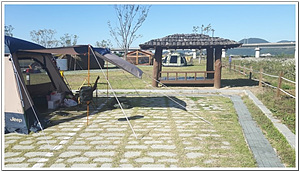 칠곡보오토캠핑장 이미지