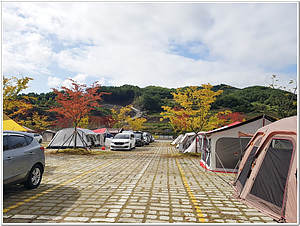 대장경오토캠핑장 이미지