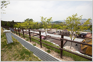 달서별빛캠프 이미지