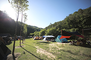 피노키오 캠핑장 이미지