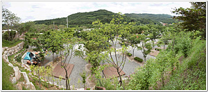 꿈애오토캠핑장 이미지