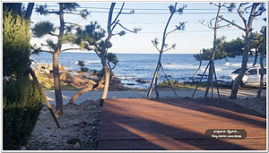 땅끝황토펜션 오토캠핑장 이미지