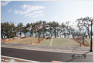 대왕암공원 오토캠핑장 이미지