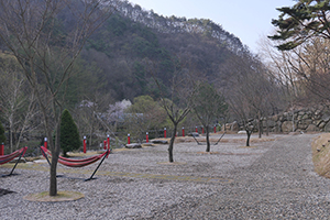 나조스트캠핑장 이미지