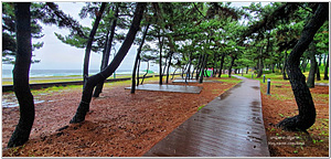 해빛뜰마을 야영장 이미지