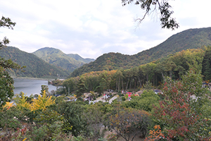 마로니에숲 캠핑장 이미지