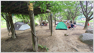 [노지] 미천공원 야영장 이미지