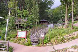 신어산자연숲캠핑장 이미지