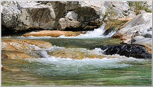 예랑정원 이미지