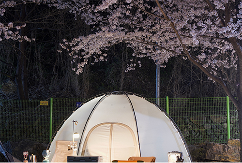 패밀리 오토캠핑장 이미지