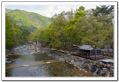 참나무숲캠핑장 이미지