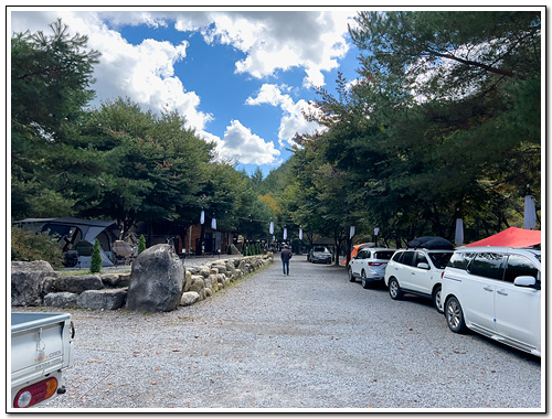 영월느티나무캠핑장 이미지