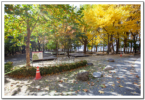 사문진피크닉장 이미지