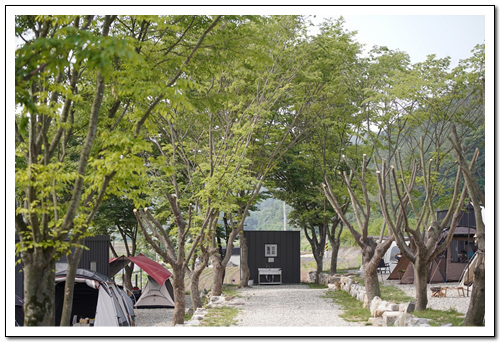 느티담길 캠핑장 이미지