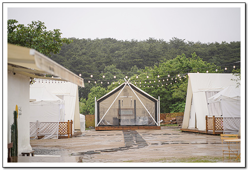 논논캠프 이미지