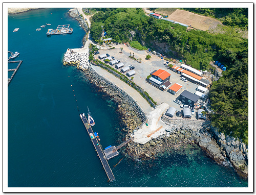 욕지도 청보리 캠프 이미지