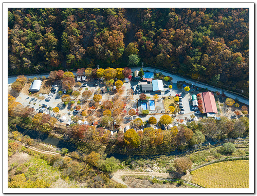 숲이조아캠핑장 이미지